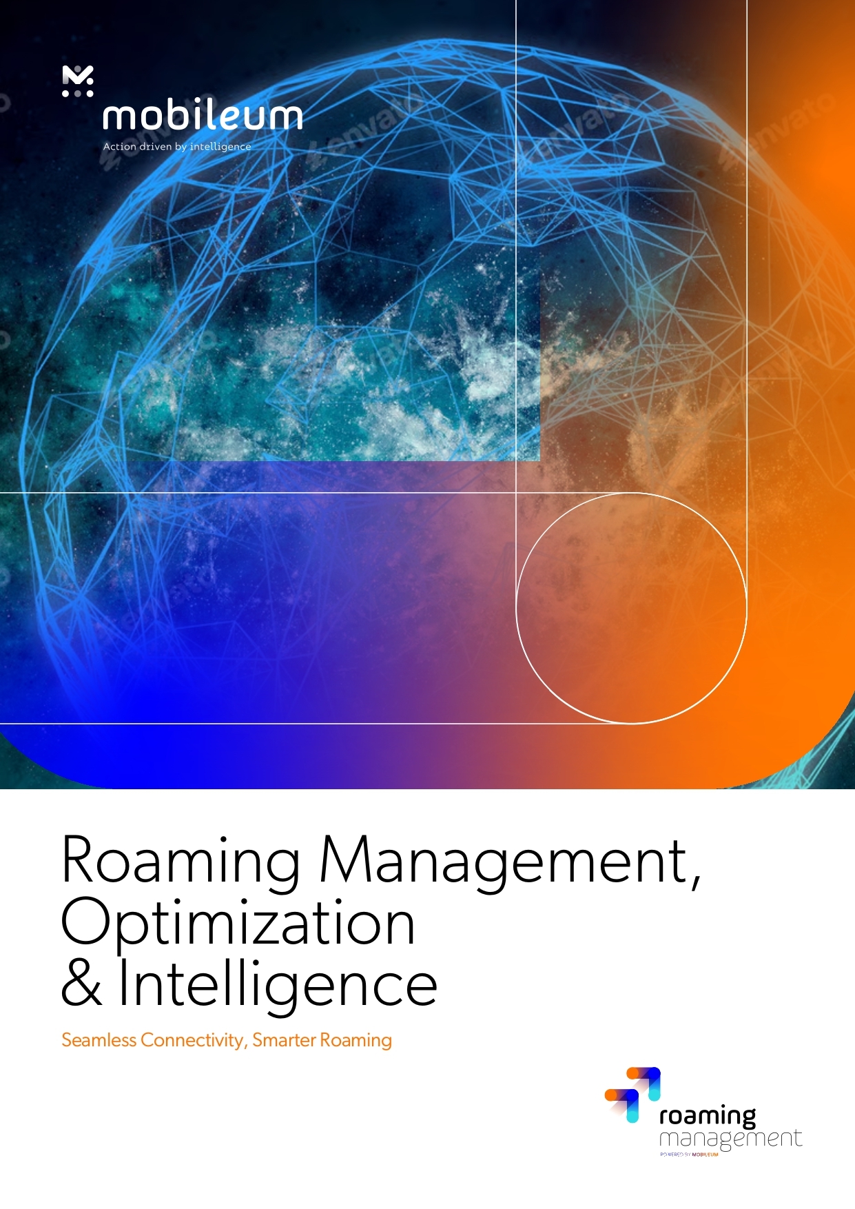 Roaming Management, Optimization & Intelligence 