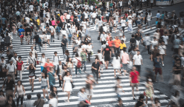 Kaleido Roaming Vendor Hub 2025-2026